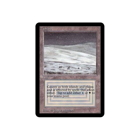 Terrain - Tundra (R) [ALPHA] Grading : LP