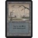 Terrain - Swamp (Branche Haute) (C) [ALPHA] Grading : NM
