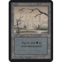 Terrain - Swamp (Branche Haute) (C) [ALPHA] Grading : NM