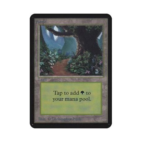 Terrain - Forest (Chemin) (C) [ALPHA] Grading : GD
