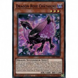 Dragon Rose Châtaigne (SR) [LIOV]