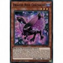 Dragon Rose Châtaigne (SR) [LIOV]