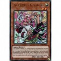 Live☆Jumelle Ki-sikil Gel (UR) [LIOV]