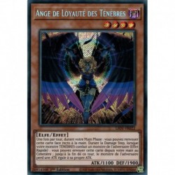 Ange de Loyauté des Ténèbres (STR) [LIOV]