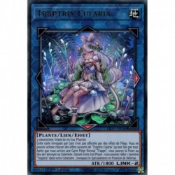 Traptrix Cularia (UR) [LIOV]