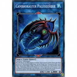 Cambroraster Paléozoïque (C) [LIOV]