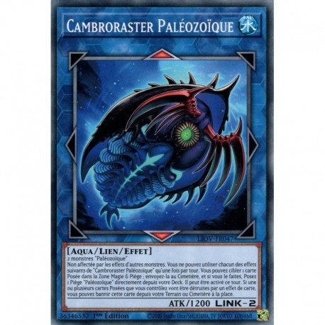 Cambroraster Paléozoïque (C) [LIOV]
