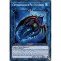 Cambroraster Paléozoïque (C) [LIOV]