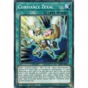Confiance Zexal (C) [LIOV]
