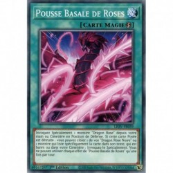 Pousse Basale de Roses (C) [LIOV]