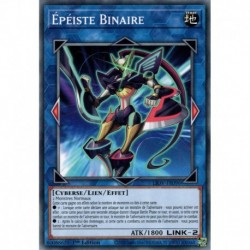 Épéiste Binaire (C) [LIOV]