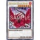 Dragon Rose Noire (PSTR) [LIOV]