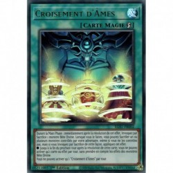 Croisement d'Âmes (UR) [EGS1]