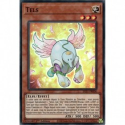 Tels (SR) [EGS1]
