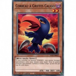 Corbeau à Griffes Caligo (C) [EGS1]