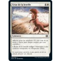 [FOIL] Blanche - Éclat de la lentille (C) [MH2]
