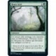 [FOIL] Verte - Repos béni (U) [MH2]