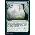 [FOIL] Verte - Repos béni (U) [MH2]