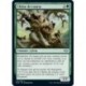 [FOIL] Verte - Chêne de course (U) [MH2]