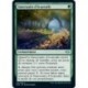 [FOIL] Verte - Sanctuaire d'écureuils (U) [MH2]
