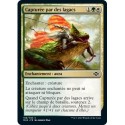 [FOIL] Multi - Capturée par des lagacs (C) [MH2]