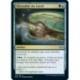 [FOIL] Multi - Chrysalide du Cartel (U) [MH2]