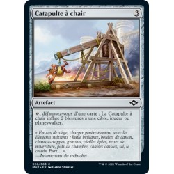 [FOIL] Artefact - Catapulte à chair (C) [MH2]