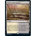 [FOIL] Terrain - Plaines marécageuses (R) [MH2]