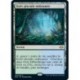 [FOIL] Terrain - Forêt pluviale embrumée (R) [MH2]
