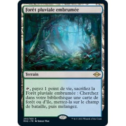 [FOIL] Terrain - Forêt pluviale embrumée (R) [MH2]