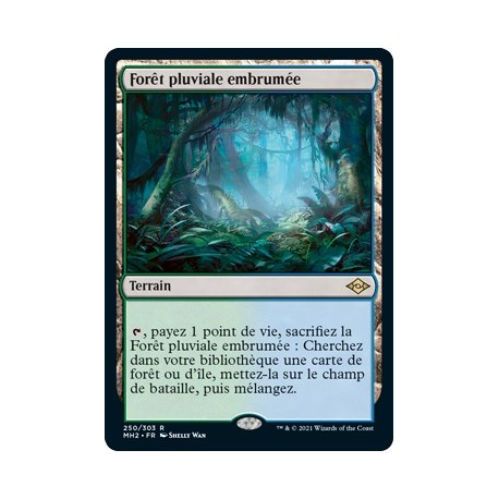 [FOIL] Terrain - Forêt pluviale embrumée (R) [MH2]