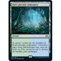 [FOIL] Terrain - Forêt pluviale embrumée (R) [MH2]