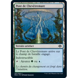 [FOIL] Terrain - Pont de Chevêtremare (C) [MH2]
