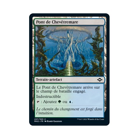 [FOIL] Terrain - Pont de Chevêtremare (C) [MH2]
