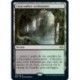 [FOIL] Terrain - Catacombes verdoyantes (R) [MH2]