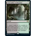 [FOIL] Terrain - Catacombes verdoyantes (R) [MH2]