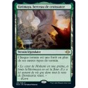[FOIL] Terrain - Yavimaya, berceau de croissance (R) [MH2]