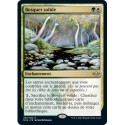 [FOIL] Multi - Bosquet solide (R) [MH2]
