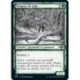 [FOIL] Verte - (SC) Vengeur de jade (C) [MH2]