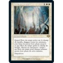 [FOIL] Blanche - (OF) Hors du temps (R) [MH2]