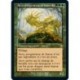 [FOIL] Verte - (OF) Aeve, progéniteur de limon (R) [MH2]