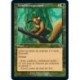 [FOIL] Verte - (OF) Tempête caquetante (C) [MH2]