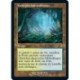 [FOIL] Terrain - (OF) Forêt pluviale embrumée (R) [MH2]
