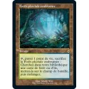 [FOIL] Terrain - (OF) Forêt pluviale embrumée (R) [MH2]