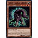 Figurines d'Acambaro Chronomal (C) [DAMA]