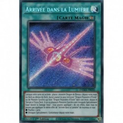 Arrivée dans la Lumière (STR) [DAMA]