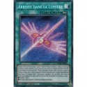 Arrivée dans la Lumière (STR) [DAMA]