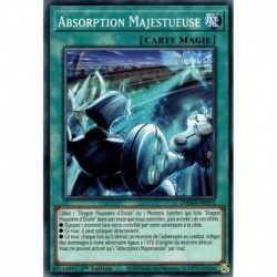 Absorption Majestueuse (C) [DAMA]