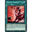 Lien du Marqué (C) [DAMA]