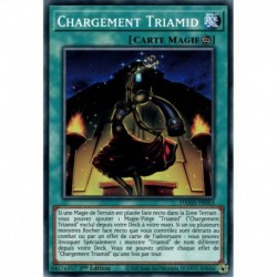 Chargement Triamid (C) [DAMA]